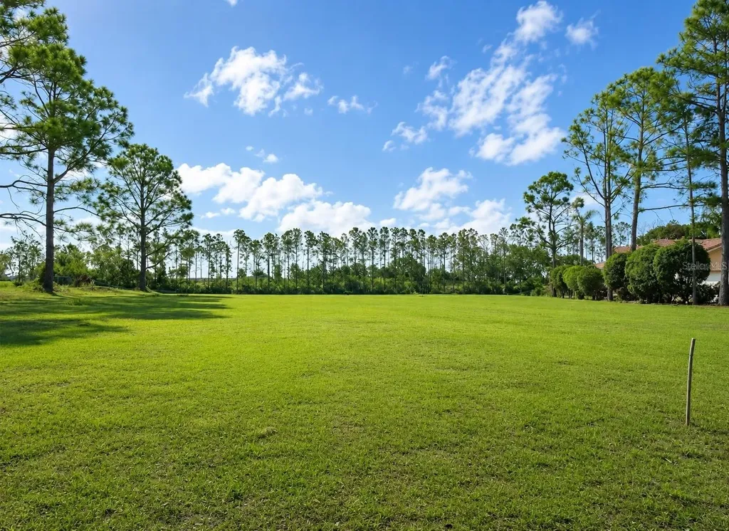 Lake Denise Boulevard Clermont FL 34711