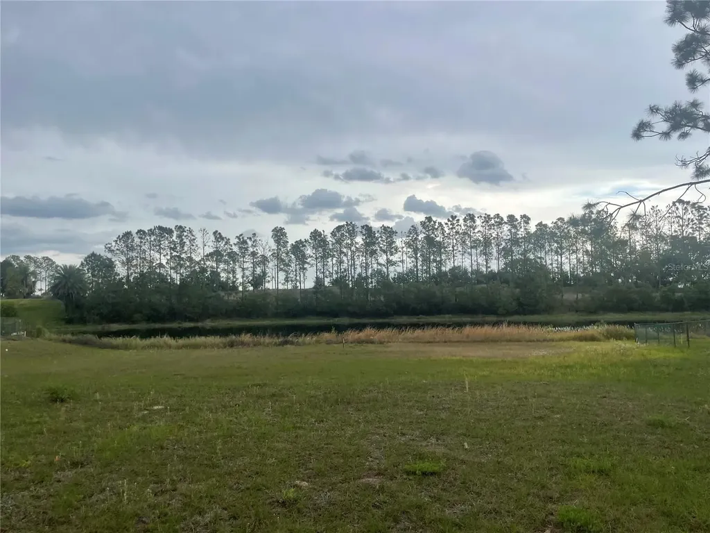 Lake Denise Boulevard Clermont FL 34711