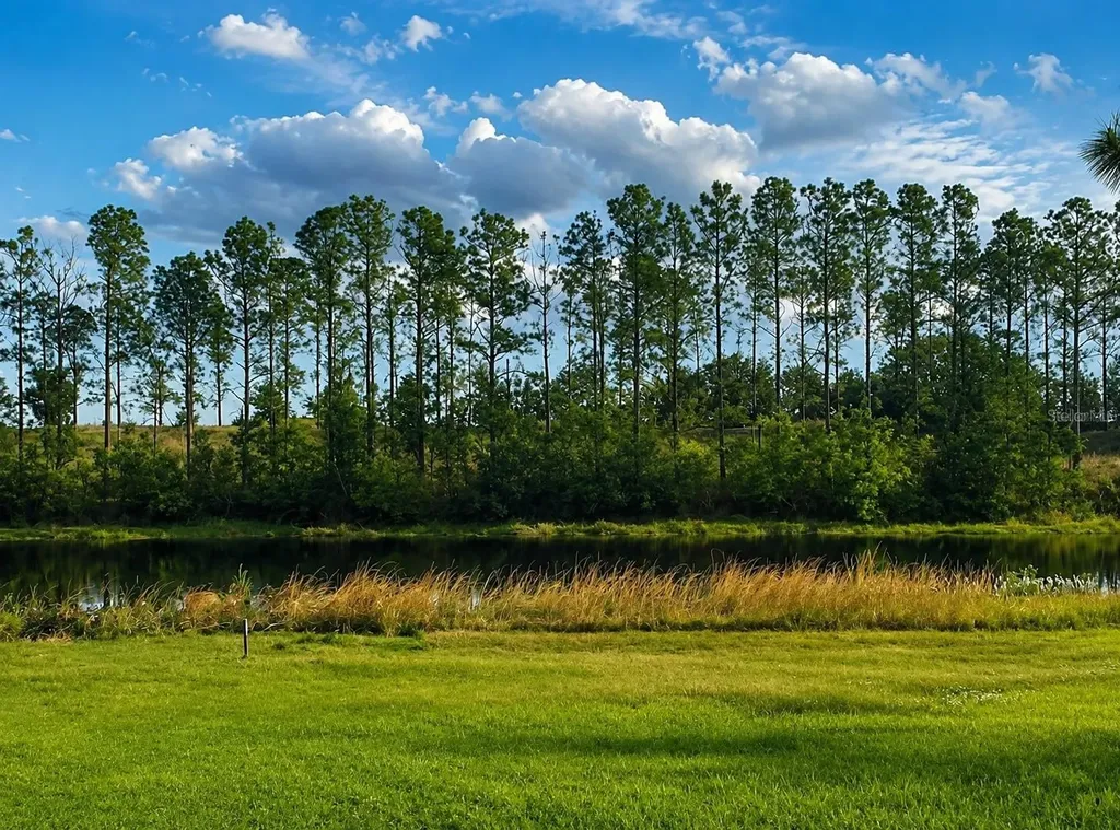 Lake Denise Boulevard Clermont FL 34711