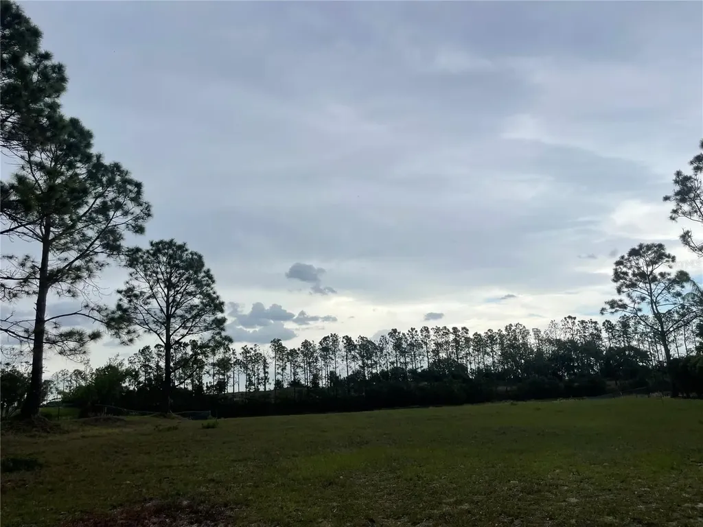 Lake Denise Boulevard Clermont FL 34711