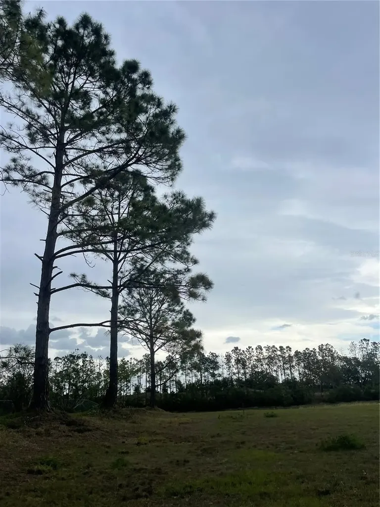 Lake Denise Boulevard Clermont FL 34711