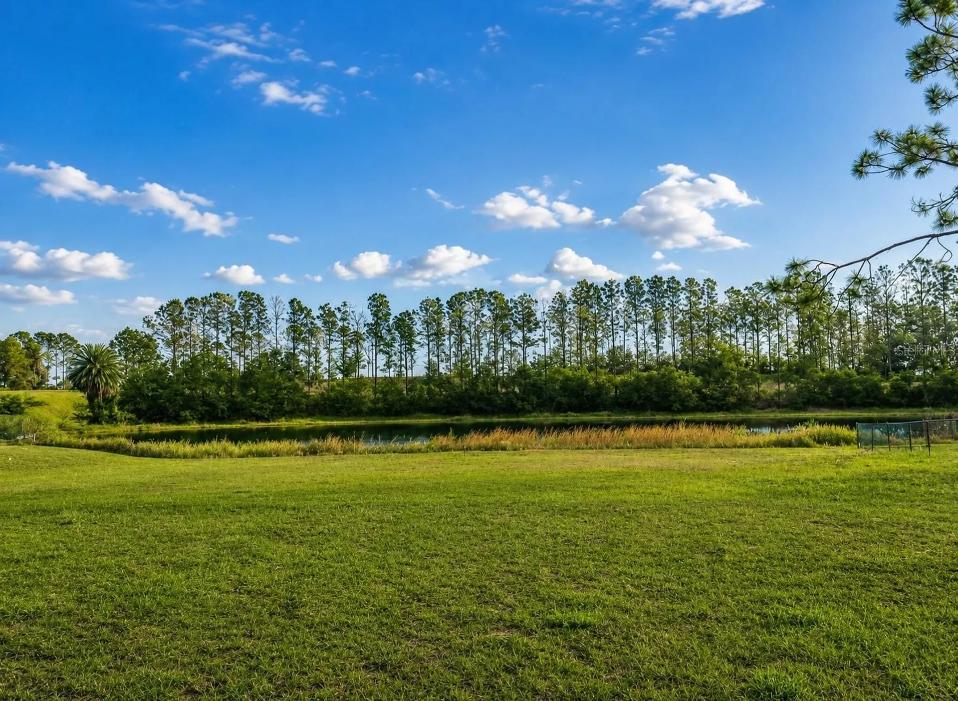 Lake Denise Boulevard Clermont FL 34711