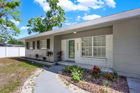 6505 Julie Street Tampa FL 33610