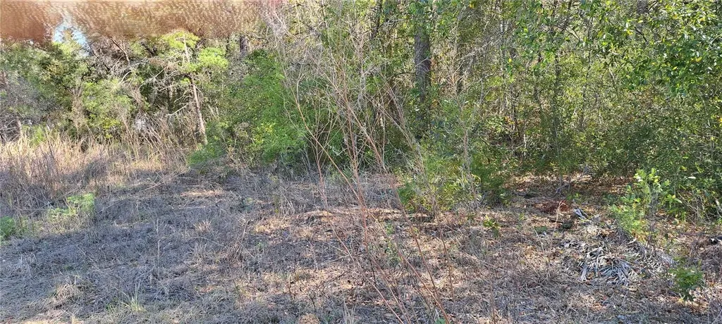 3844 E Crystal Lane Inverness FL 34452