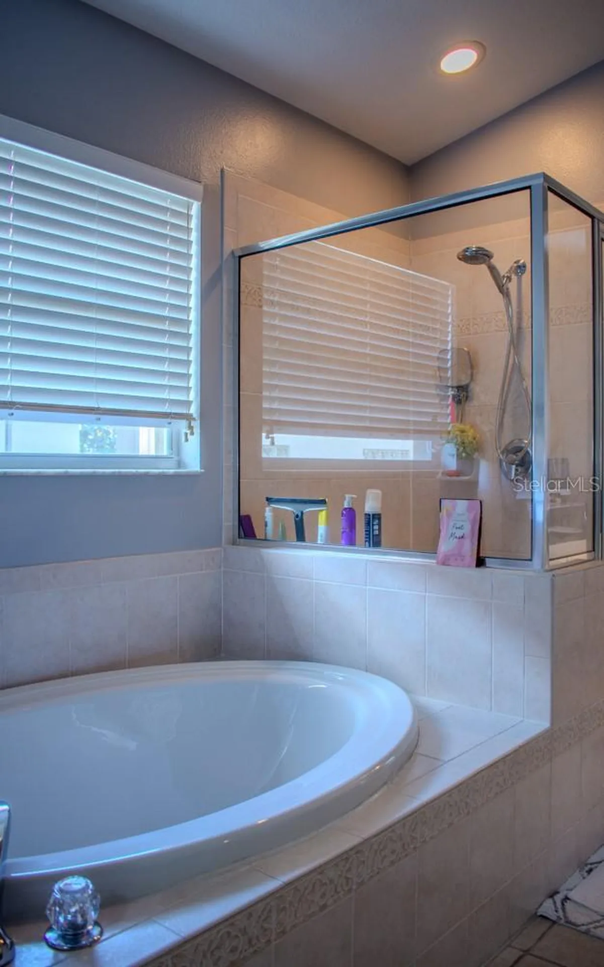 18919 Place Marquette Lutz FL 33558