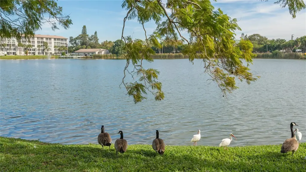 3845 Lake Bayshore Drive Bradenton FL 34205