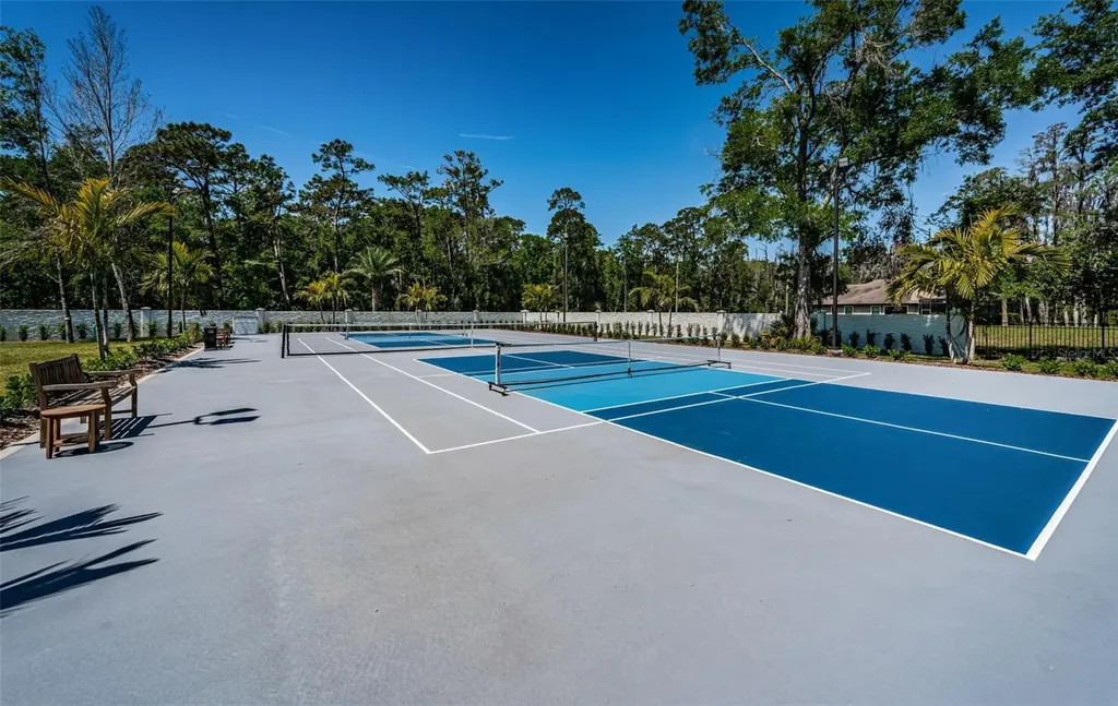 18725 Jiretz Road Odessa FL 33556