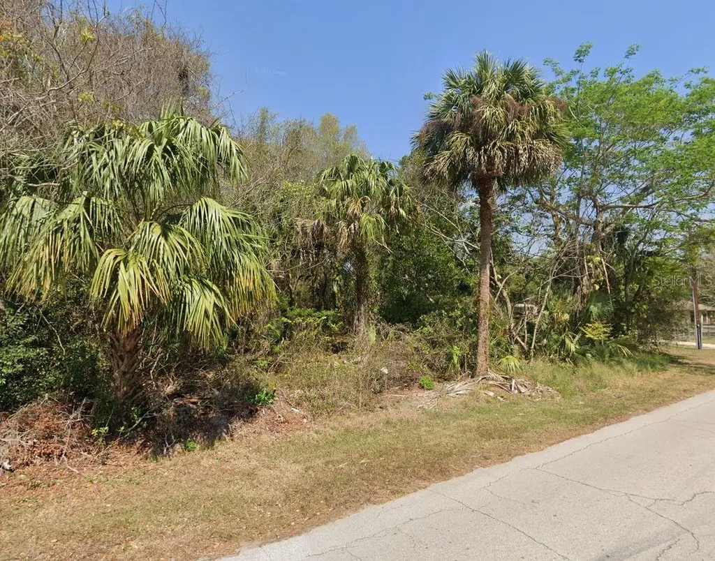 Longwood Drive Osteen FL 32764