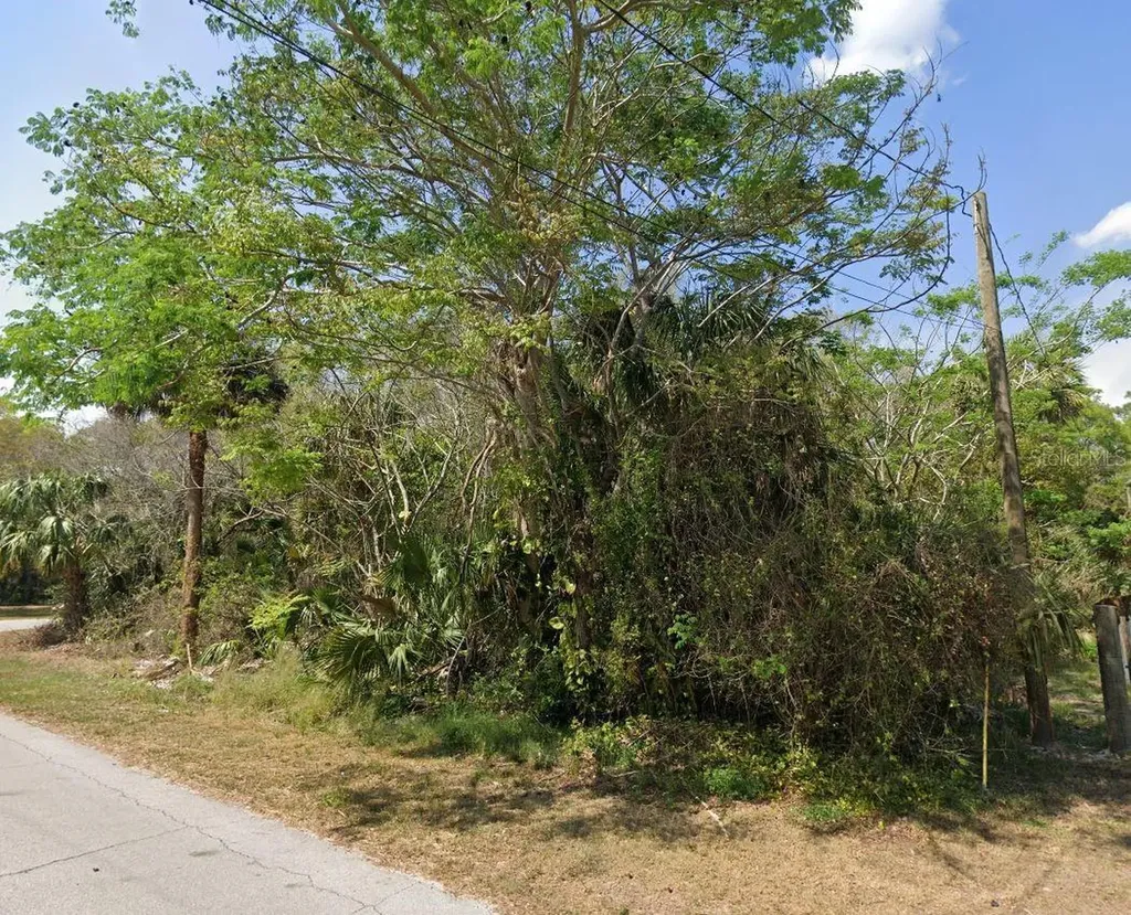 Longwood Drive Osteen FL 32764