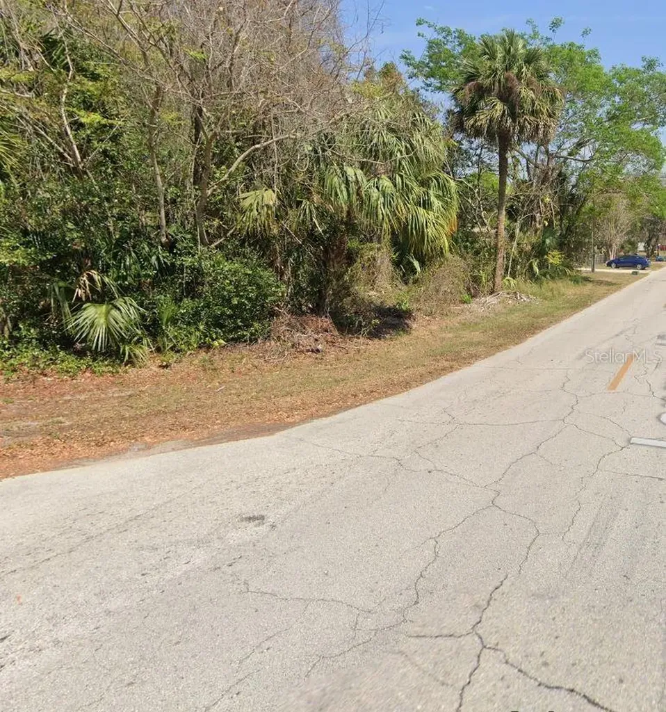 Longwood Drive Osteen FL 32764