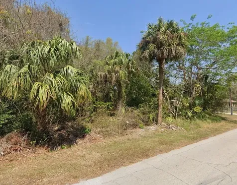 Longwood Drive Osteen FL 32764