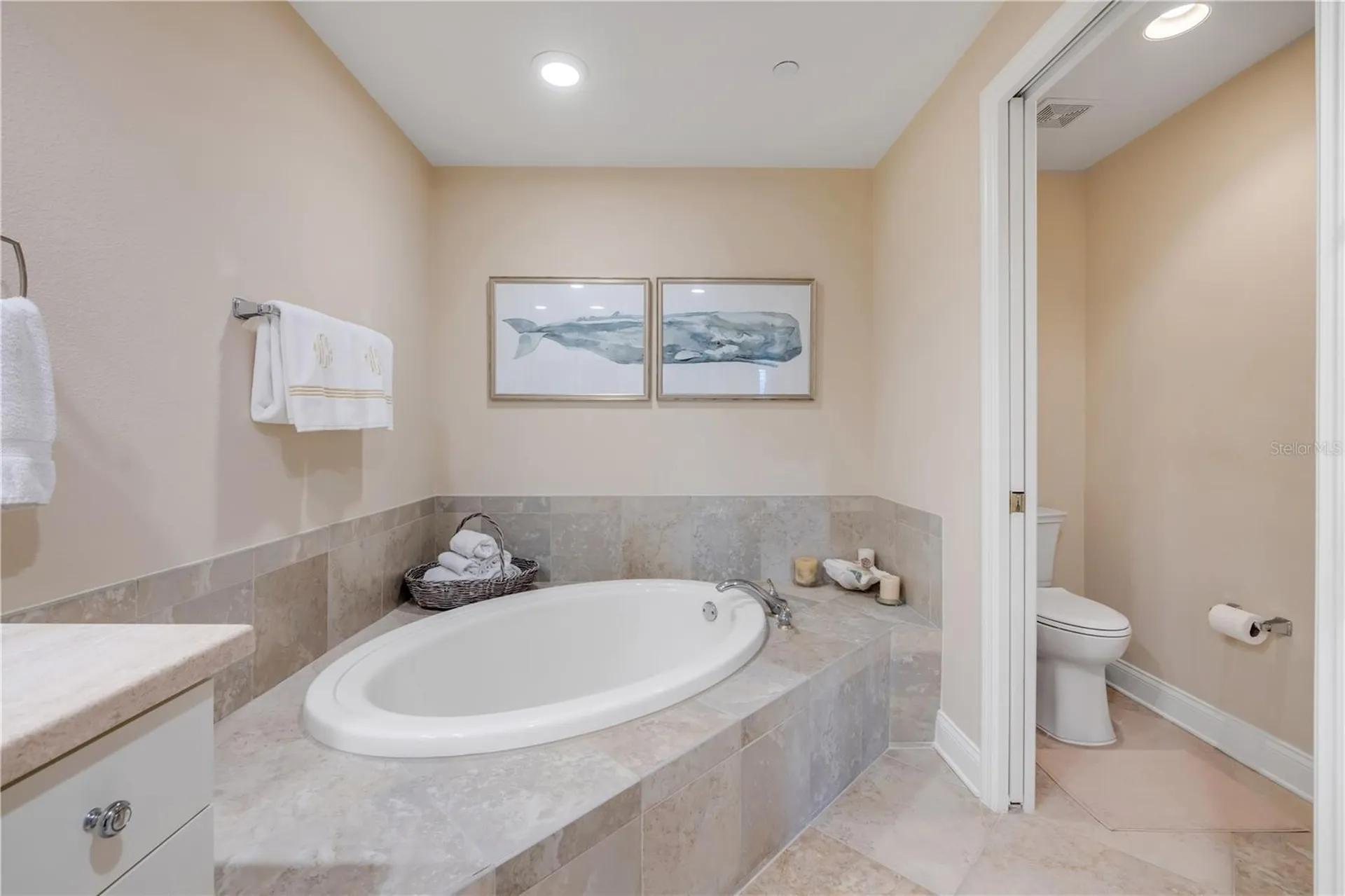 261 Minorca Beach Way New Smyrna Beach FL 32169