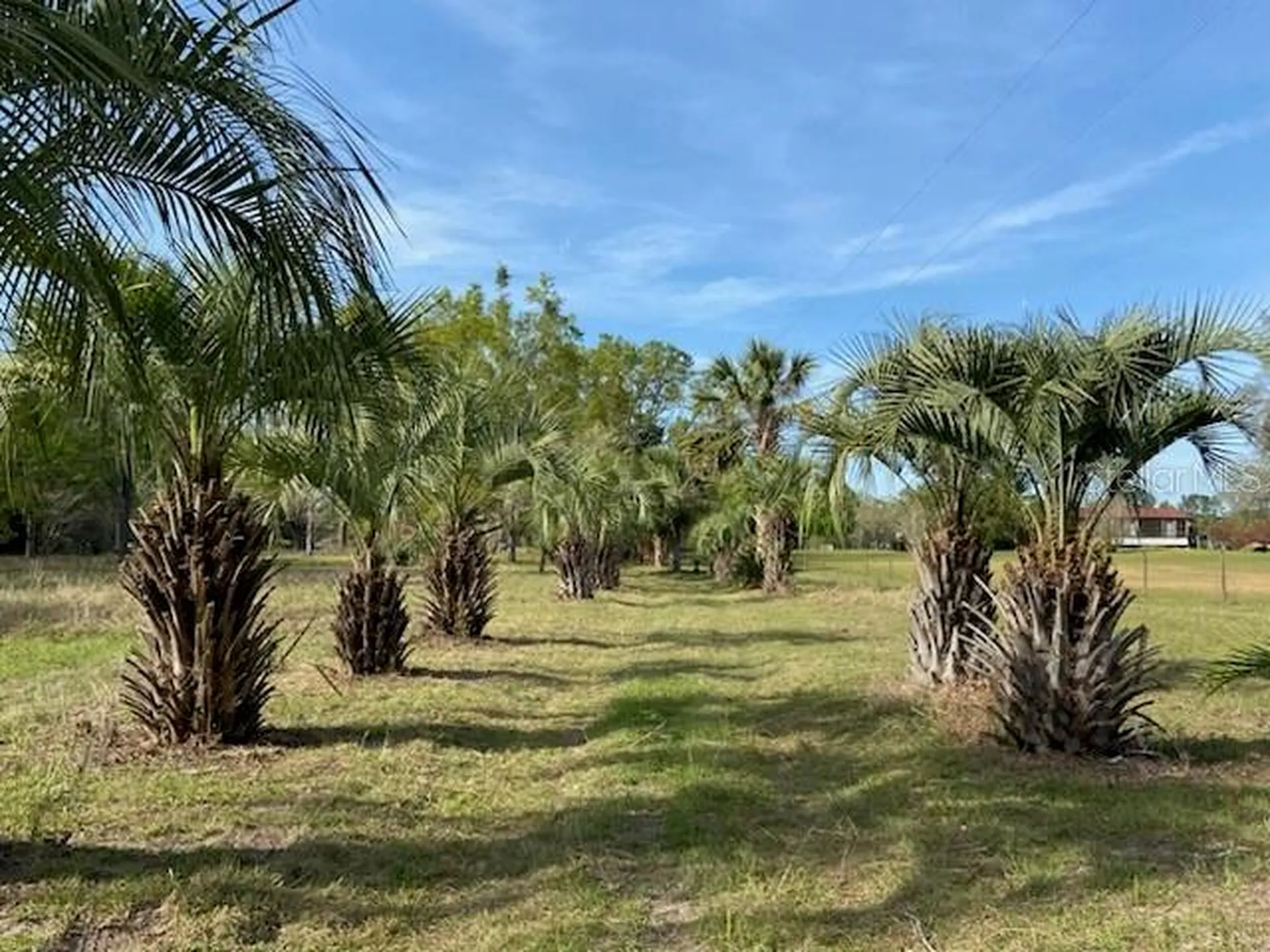 23206 NW 102 Nd Avenue Alachua FL 32615