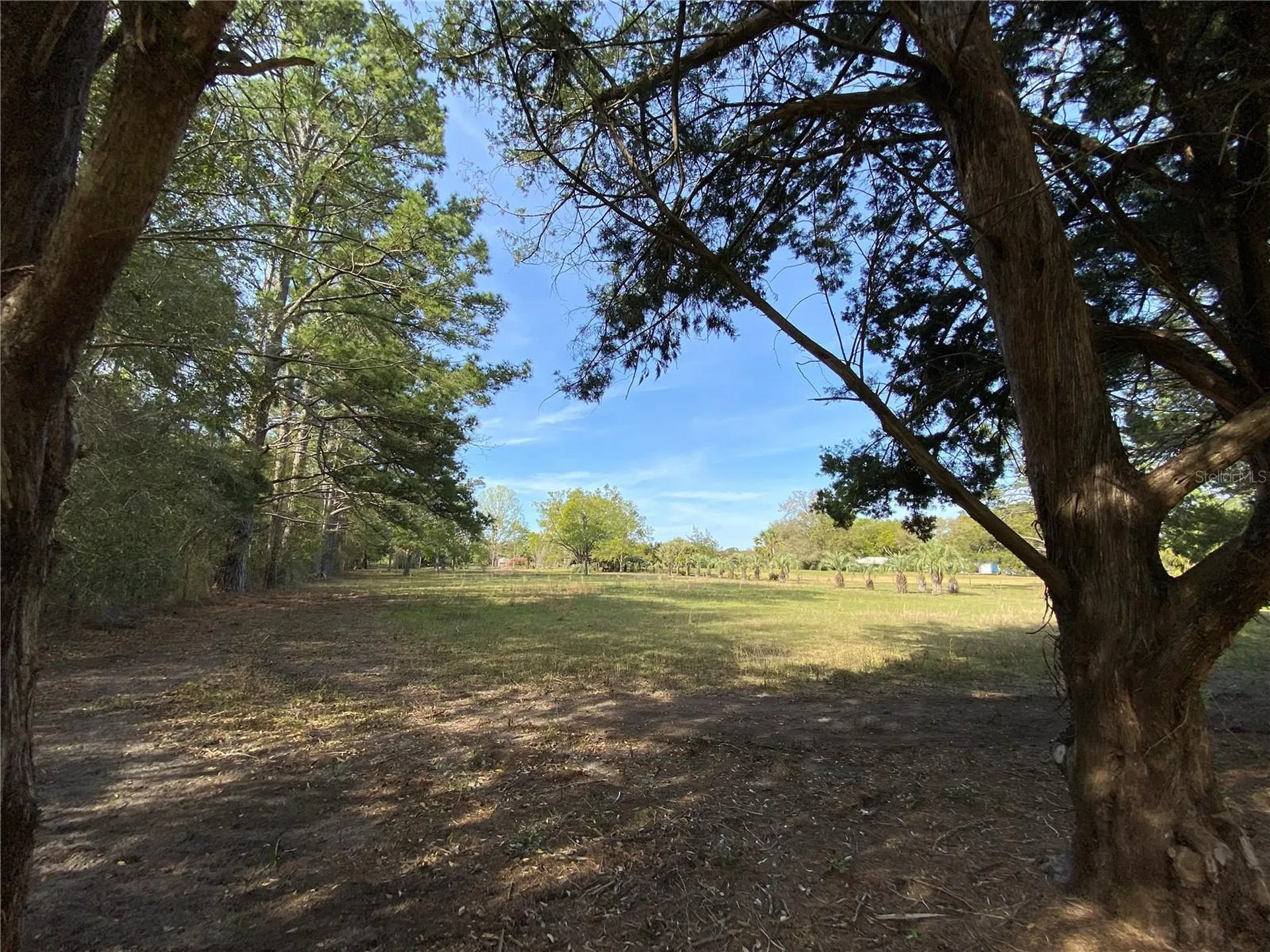 23206 NW 102 Nd Avenue Alachua FL 32615