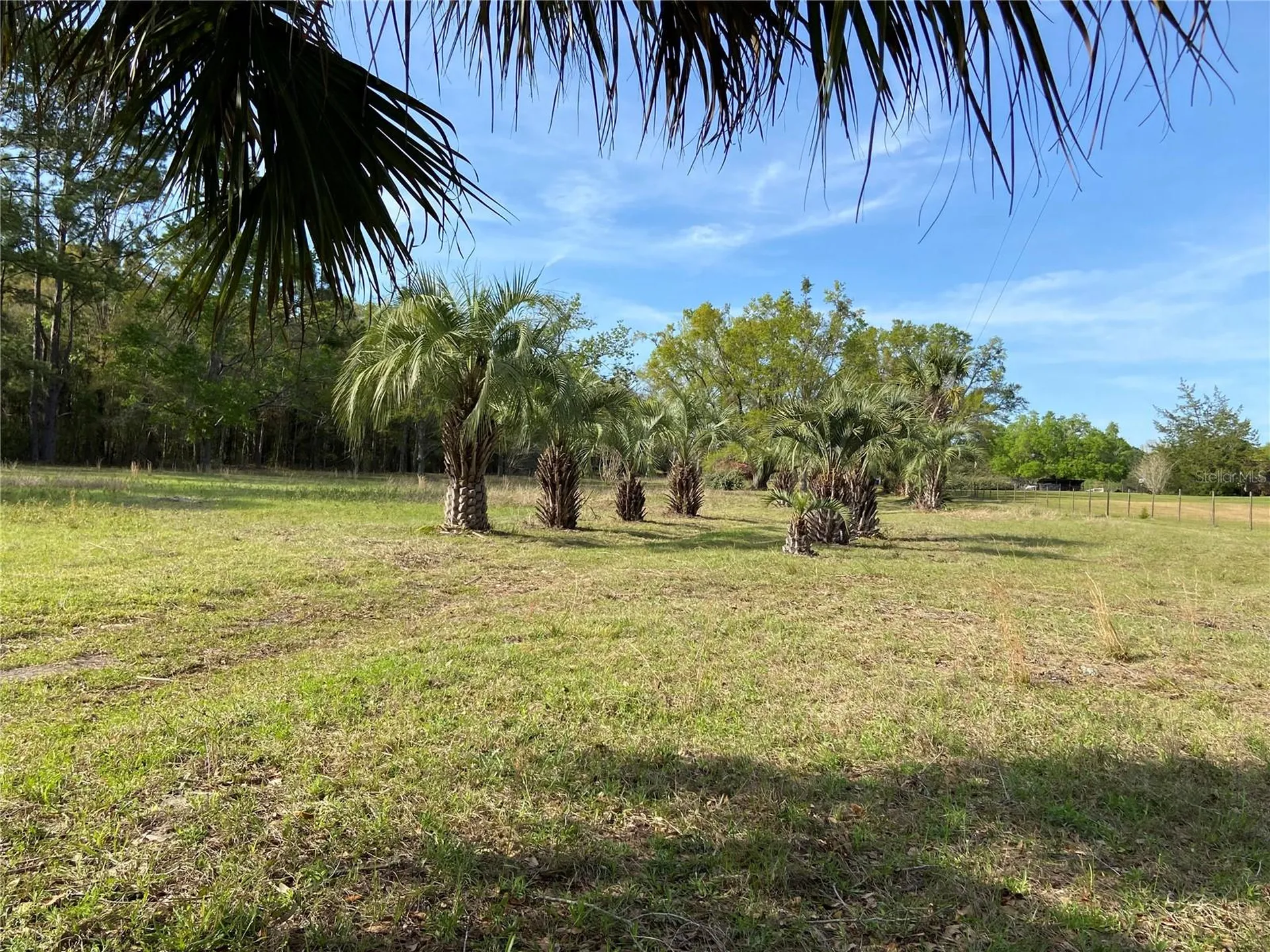 23206 NW 102 Nd Avenue Alachua FL 32615