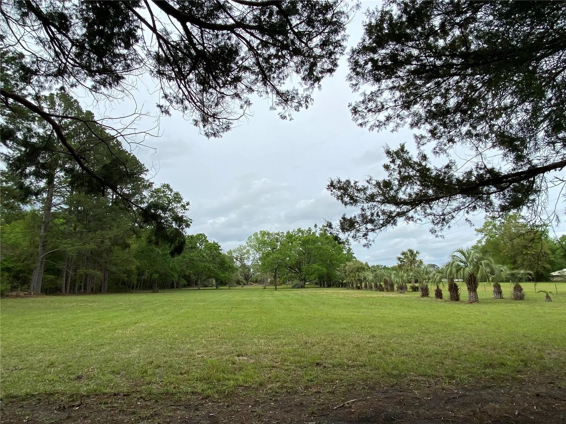 23206 NW 102 Nd Avenue Alachua FL 32615
