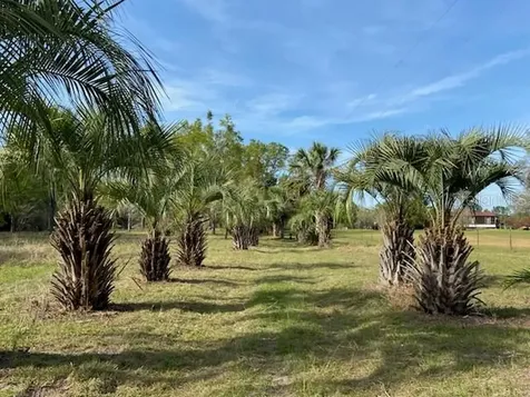 23206 NW 102 Nd Avenue Alachua FL 32615