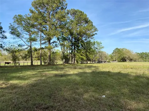23206 NW 102 Nd Avenue Alachua FL 32615
