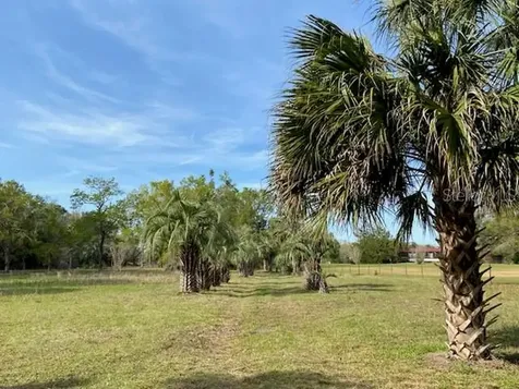 23206 NW 102 Nd Avenue Alachua FL 32615