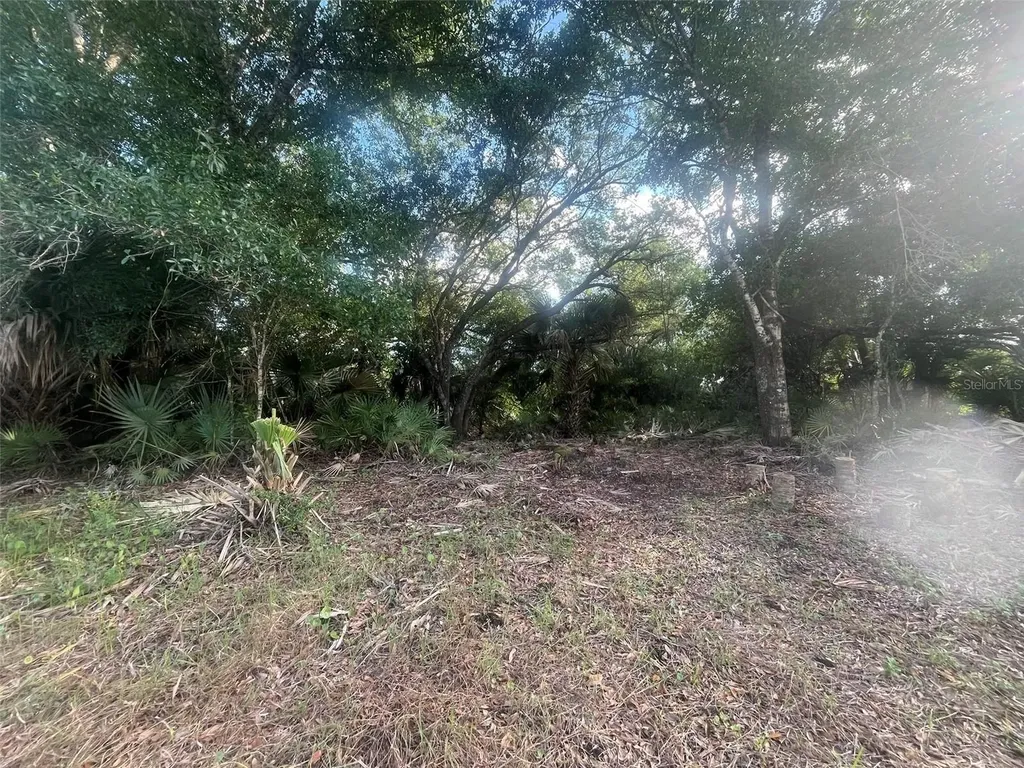 17774 NW 254th Street Okeechobee FL 34972