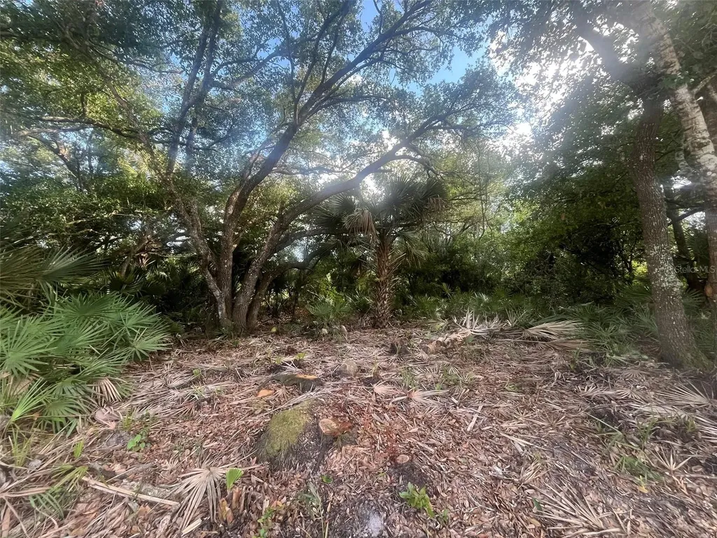17774 NW 254th Street Okeechobee FL 34972