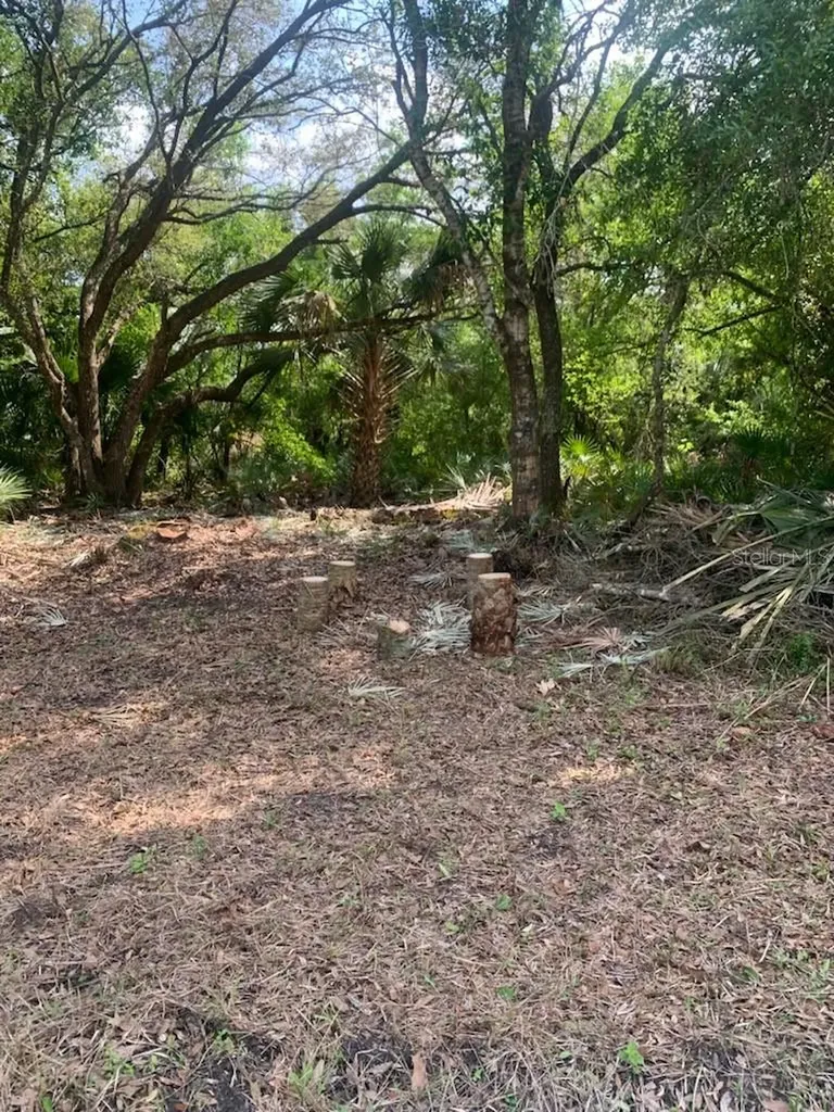 17774 NW 254th Street Okeechobee FL 34972