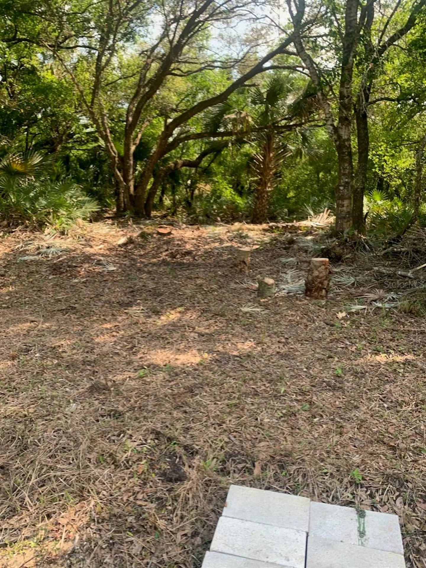 17774 NW 254th Street Okeechobee FL 34972
