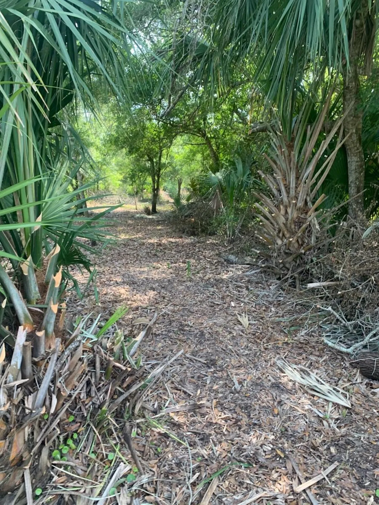 17774 NW 254th Street Okeechobee FL 34972