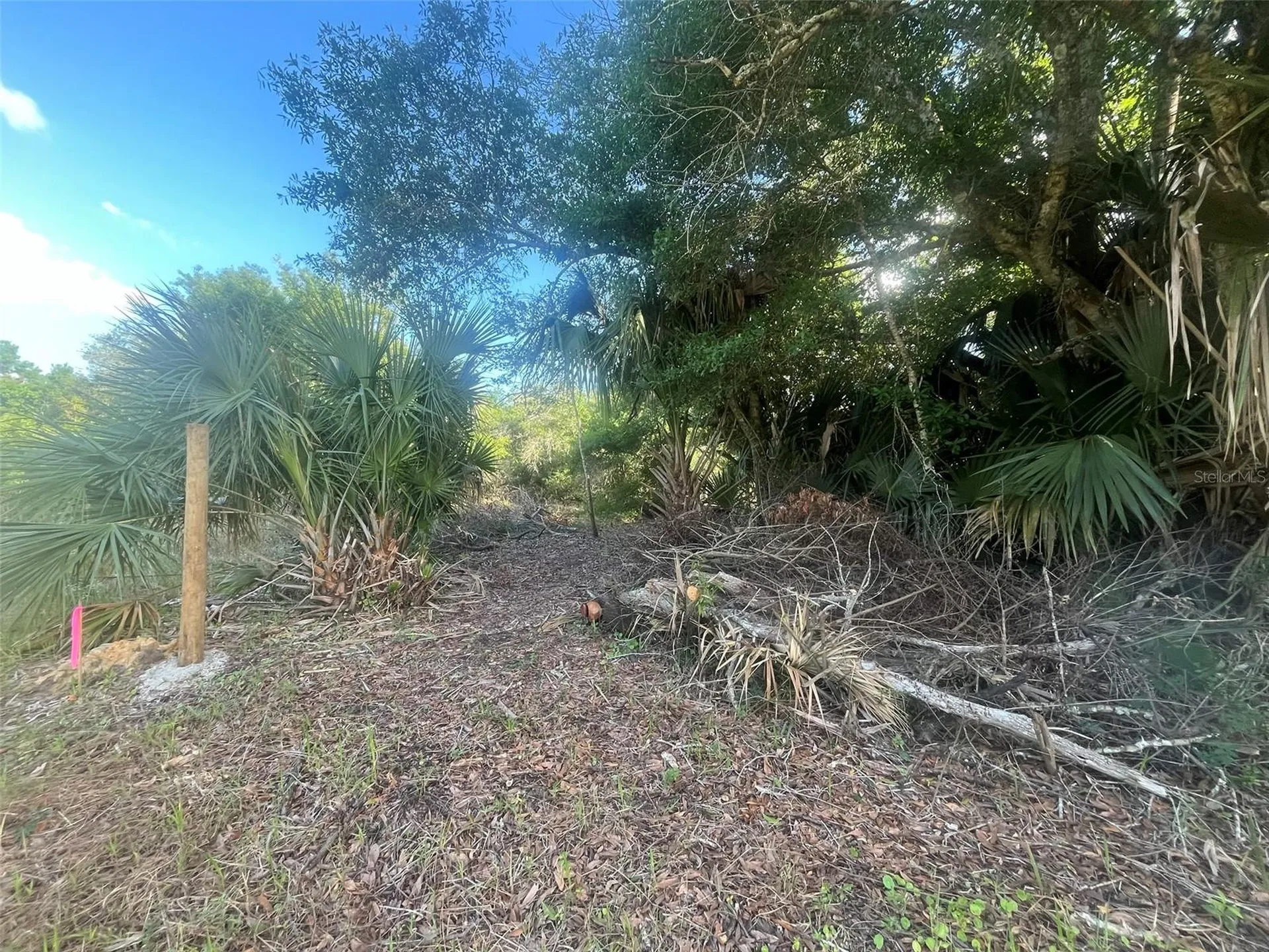 17774 NW 254th Street Okeechobee FL 34972
