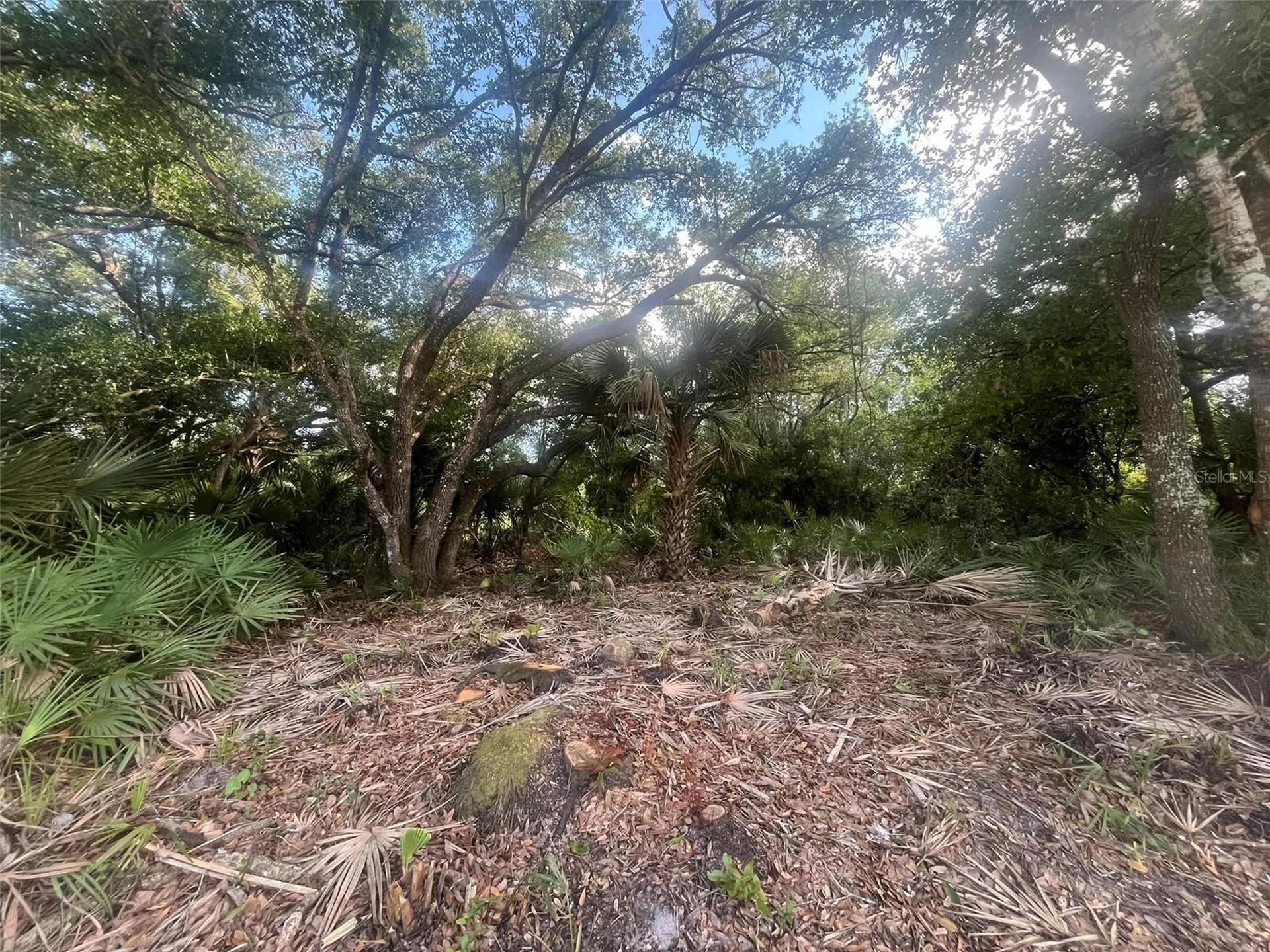 17774 NW 254th Street Okeechobee FL 34972