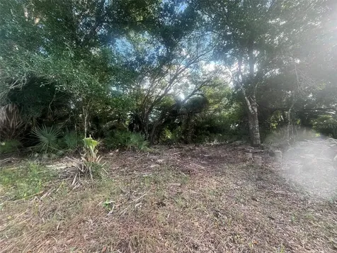 17774 NW 254th Street Okeechobee FL 34972