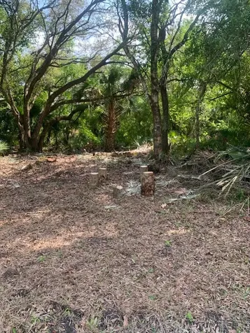 17774 NW 254th Street Okeechobee FL 34972