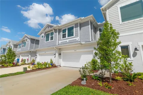 17212 Balance Cove Land O Lakes FL 34638