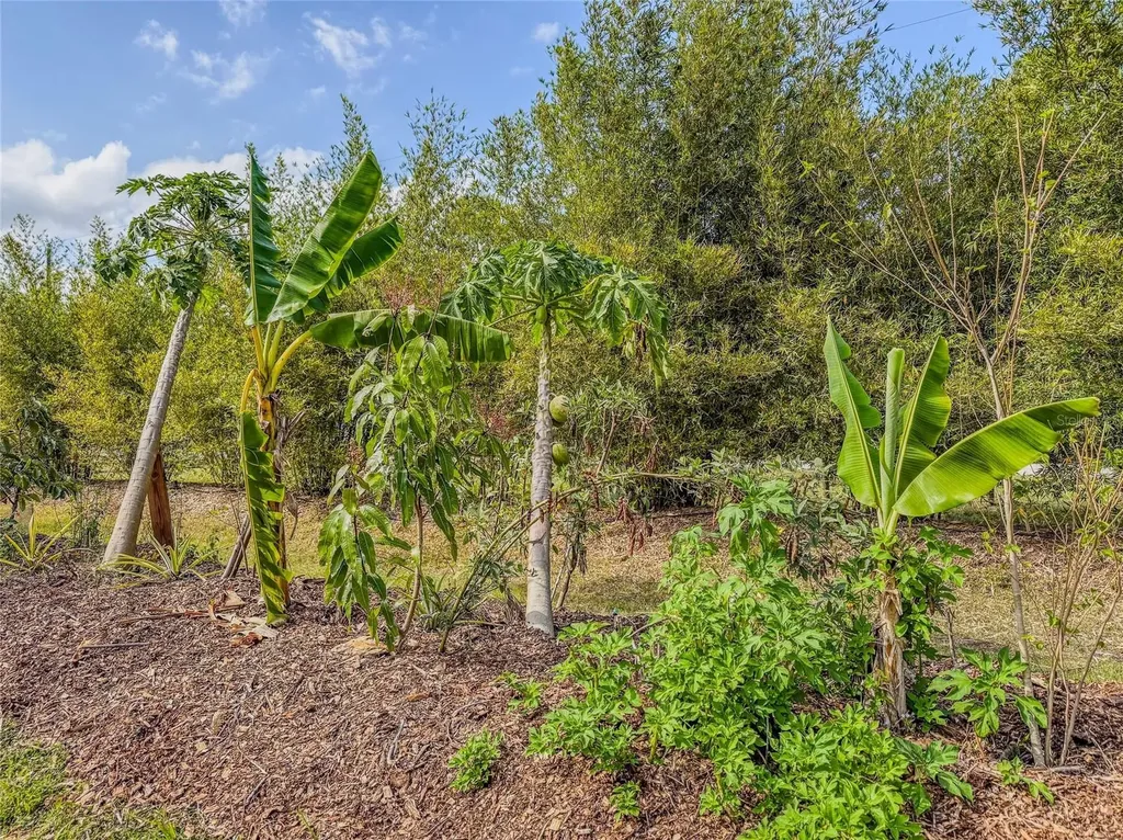 24549 Nova Lane Punta Gorda FL 33980