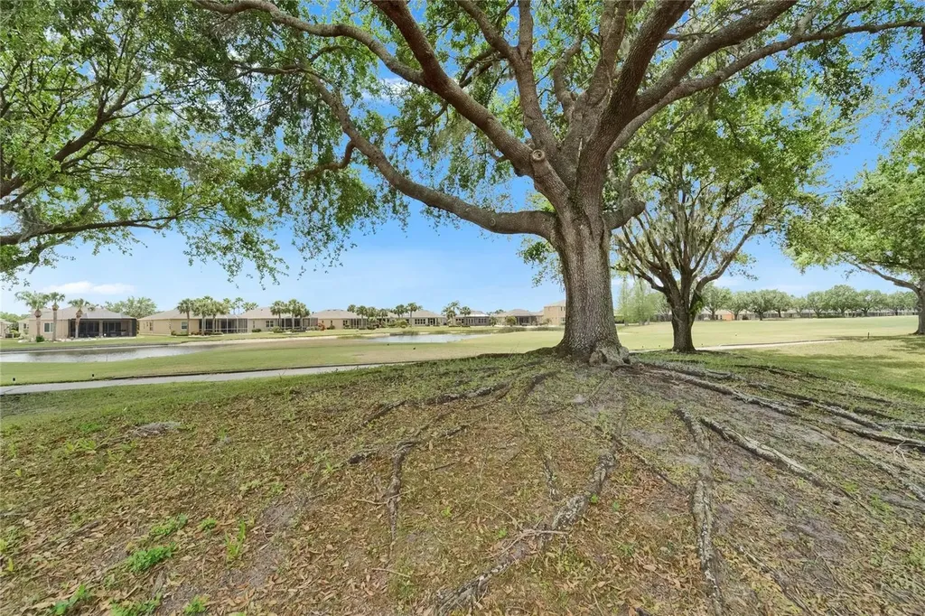 1102 Emerald Dunes Drive Sun City Center FL 33573