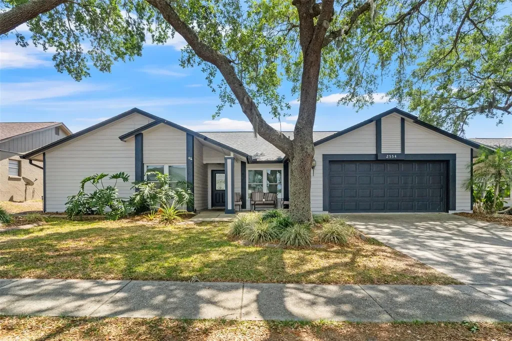 2554 Brimhollow Drive Valrico FL 33596