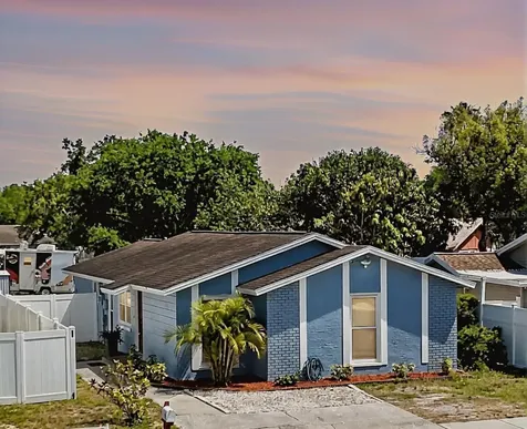 9206 Wood Lake Boulevard Tampa FL 33615