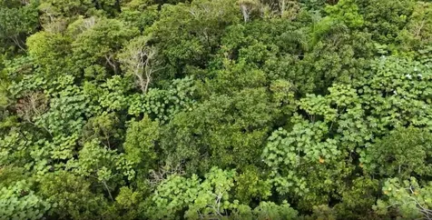 Km 0.2 Int Bo. Helechal Pr 152 Barranquitas PR 00794