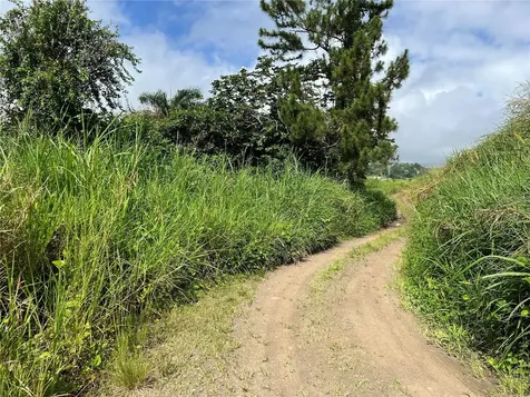 Km 0.2 Int Bo. Helechal Pr 152 Barranquitas PR 00794