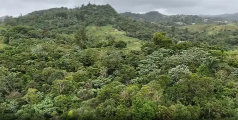 Km 0.2 Int Bo. Helechal Pr 152 Barranquitas PR 00794