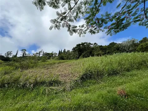 Km 0.2 Int Bo. Helechal Pr 152 Barranquitas PR 00794