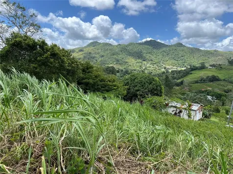 Km 0.2 Int Bo. Helechal Pr 152 Barranquitas PR 00794