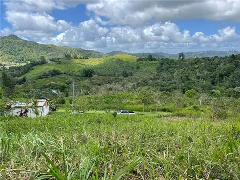 Km 0.2 Int Bo. Helechal Pr 152 Barranquitas PR 00794