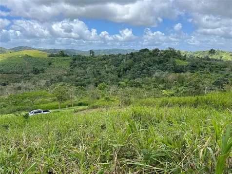 Km 0.2 Int Bo. Helechal Pr 152 Barranquitas PR 00794