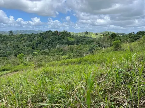 Km 0.2 Int Bo. Helechal Pr 152 Barranquitas PR 00794