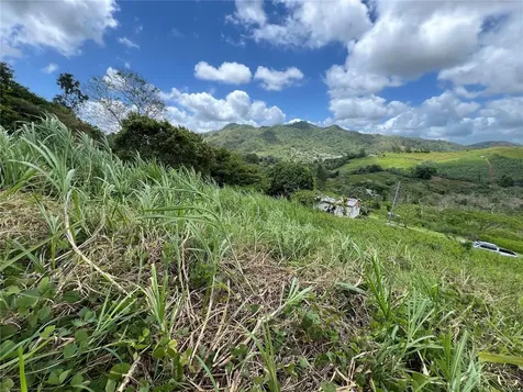 Km 0.2 Int Bo. Helechal Pr 152 Barranquitas PR 00794