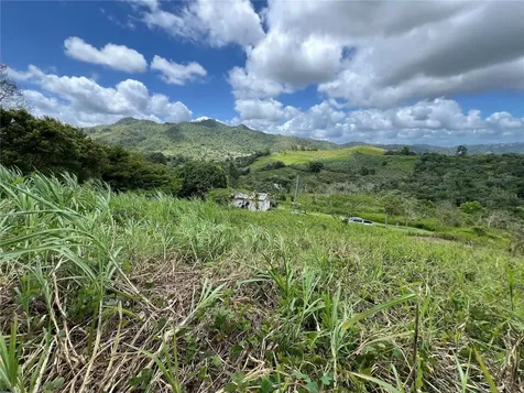 Km 0.2 Int Bo. Helechal Pr 152 Barranquitas PR 00794