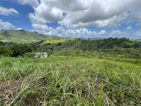 Km 0.2 Int Bo. Helechal Pr 152 Barranquitas PR 00794
