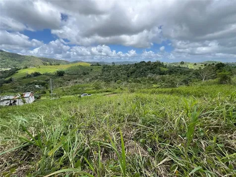 Km 0.2 Int Bo. Helechal Pr 152 Barranquitas PR 00794