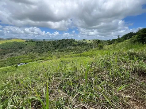 Km 0.2 Int Bo. Helechal Pr 152 Barranquitas PR 00794